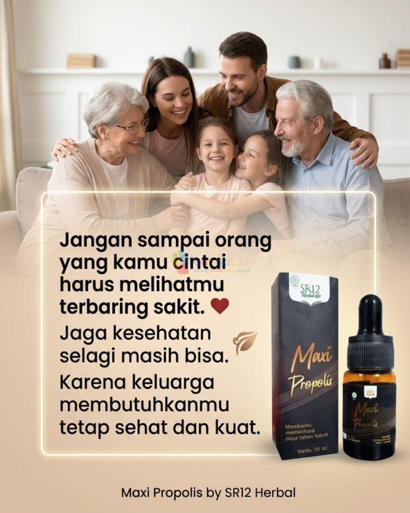 Maxi Propolis Sr12 Produk Original COD di Ciracas, jakarta timur.