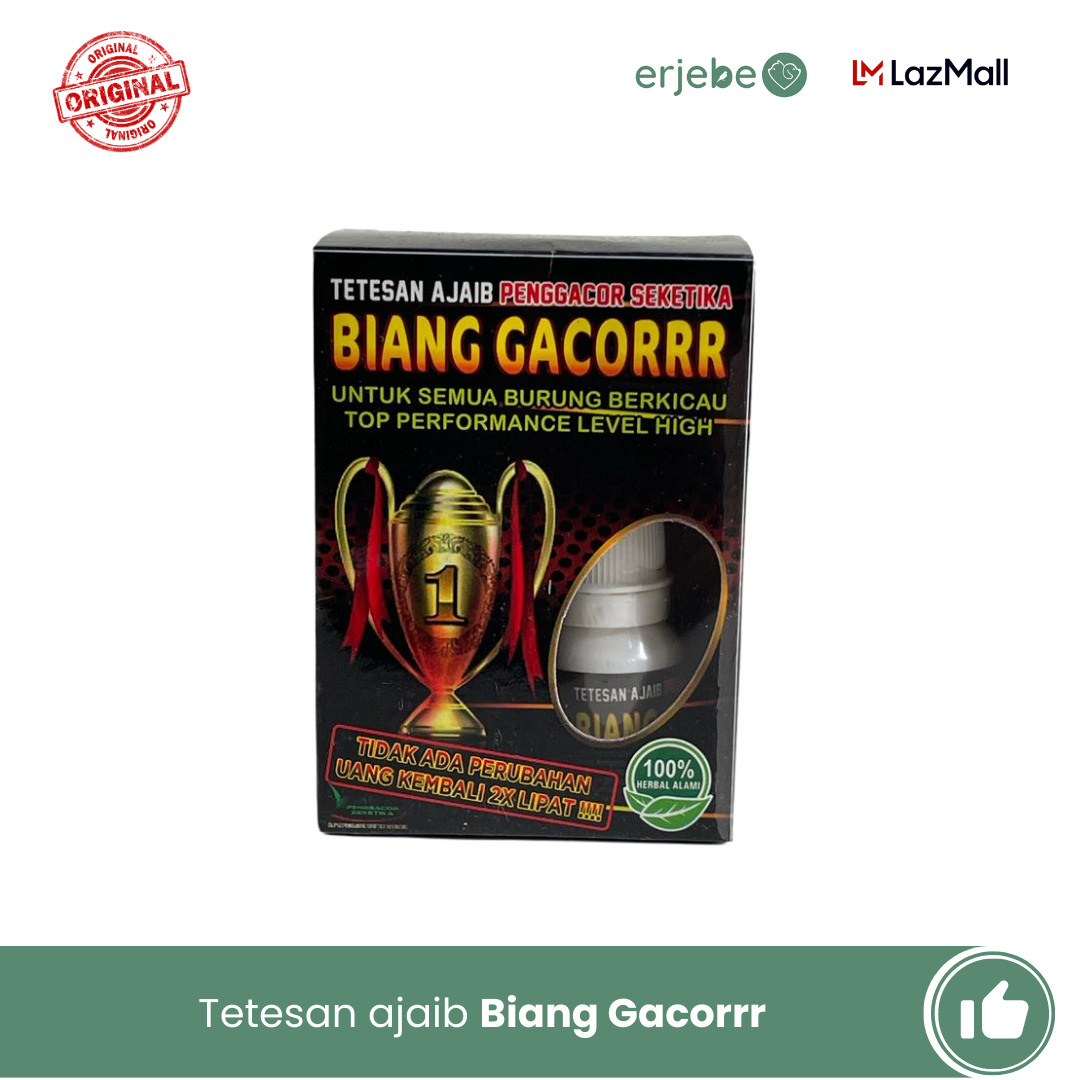ERJEBE Biang Gacor Penggacor burung murai batu