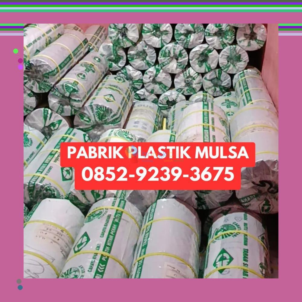 (EKSKLUSIF) 0852-9239-3675 Pabrik Plastik Mulsa Banjarmasin