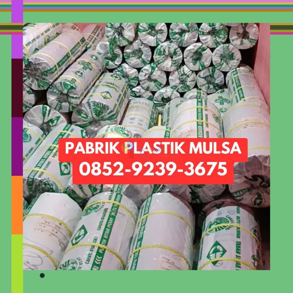 (JASA TERPERCAYA) 0852-9239-3675 Pabrik Plastik Mulsa Kotawaringin Timur