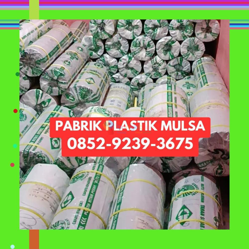 (SPESIAL) 0852-9239-3675 Pabrik Plastik Mulsa Seruyan