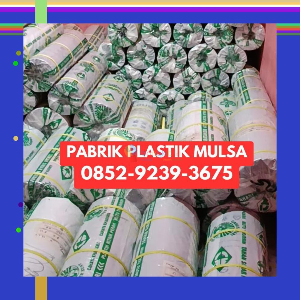 (PREMIUM) 0852-9239-3675 Pabrik Plastik Mulsa Sukamara
