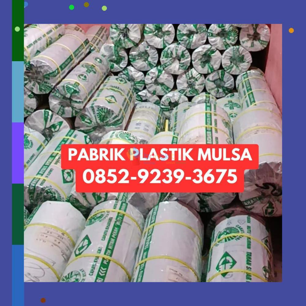 (PROFESIONAL) 0852-9239-3675 Pabrik Plastik Mulsa Bulungan