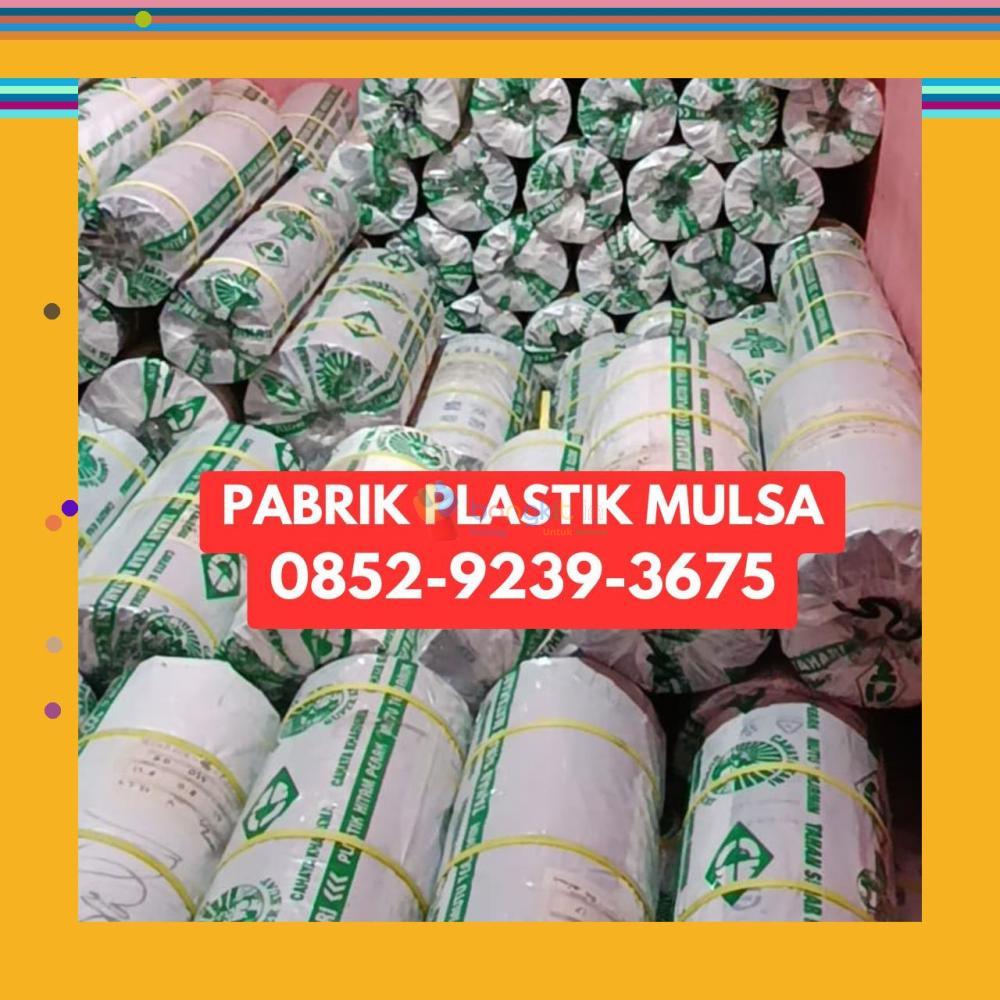 (SPESIAL) 0852-9239-3675 Pabrik Plastik Mulsa Kutai Timur