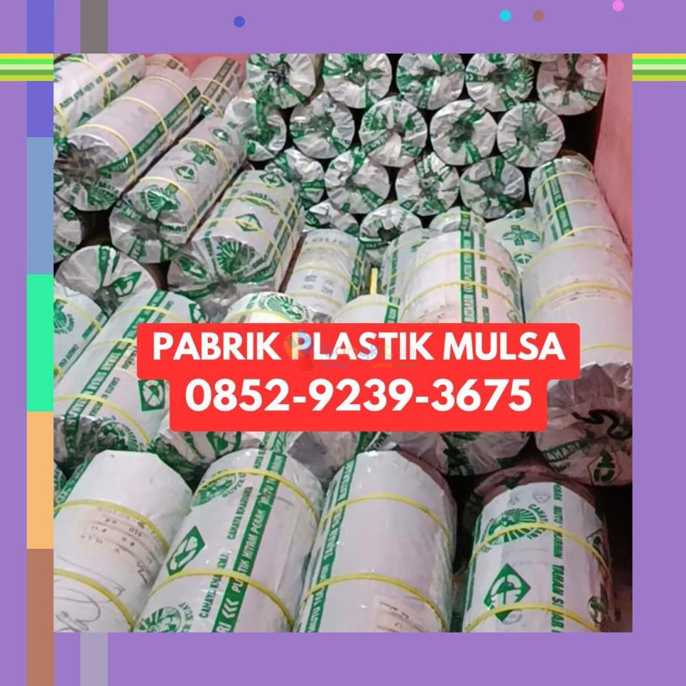 (KUALITAS SUPER) 0852-9239-3675 Pabrik Plastik Mulsa Mahakam Hulu