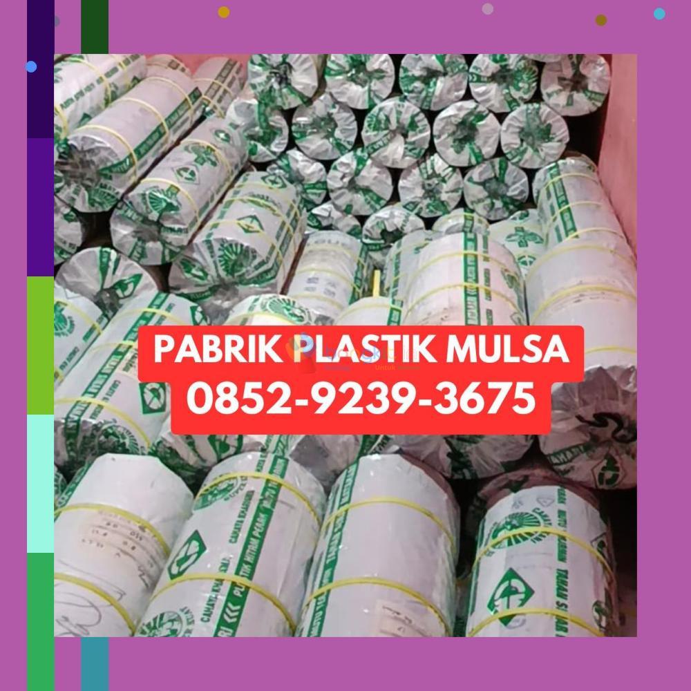 (SPESIAL) 0852-9239-3675 Pabrik Plastik Mulsa Tarakan