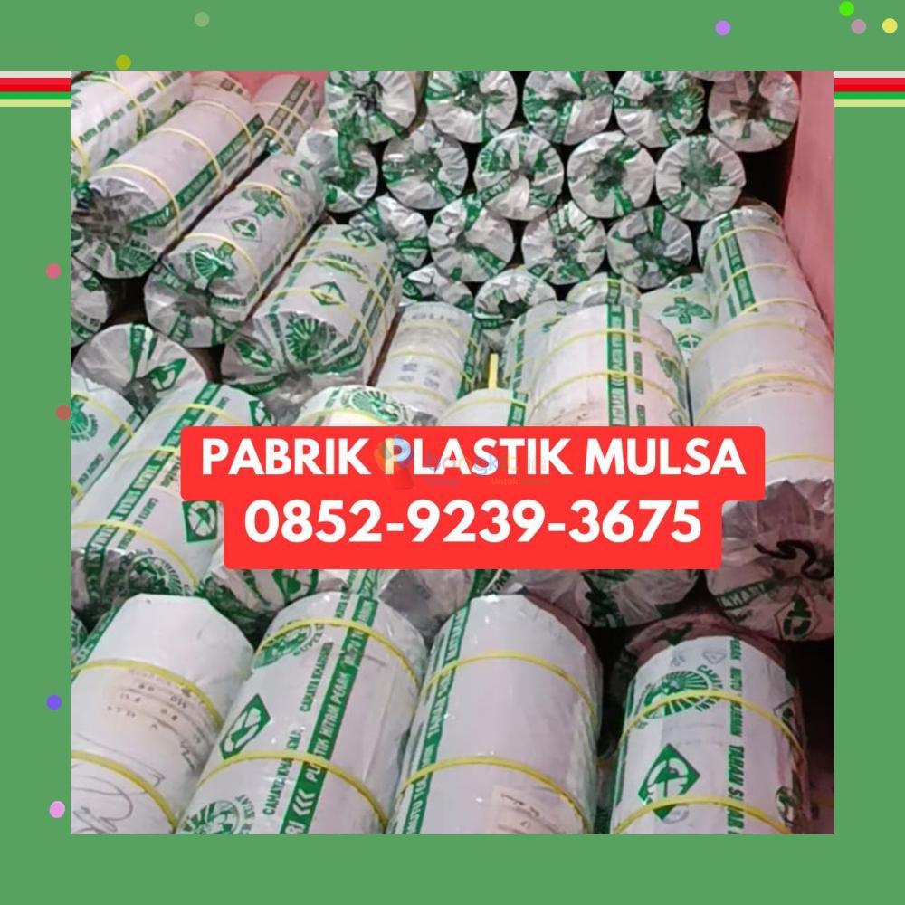 (KUALITAS UNGGUL) 0852-9239-3675 Pabrik Plastik Mulsa Balangan