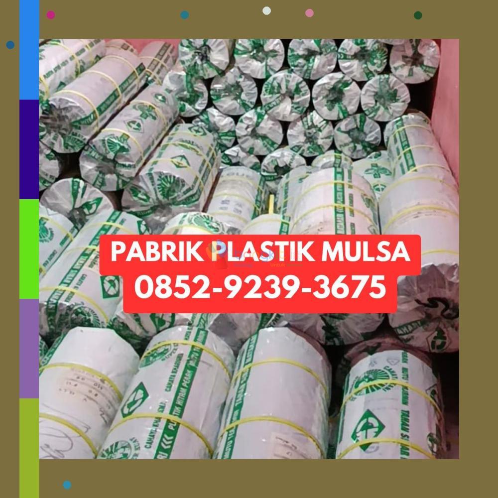 (KUALITAS SUPER) 0852-9239-3675 Pabrik Plastik Mulsa Hulu Sungai Utara