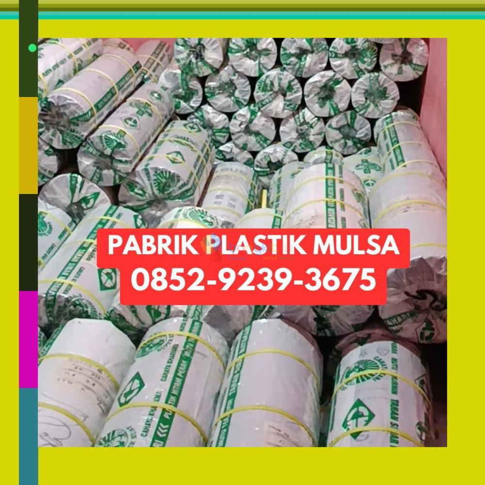 (KUALITAS UNGGUL) 0852-9239-3675 Pabrik Plastik Mulsa Ketapang