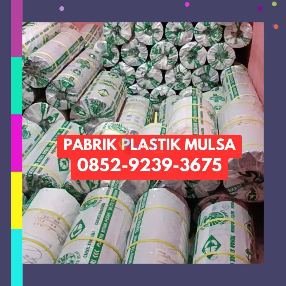 (HARGA TERJANGKAU) 0852-9239-3675 Pabrik Plastik Mulsa Landak