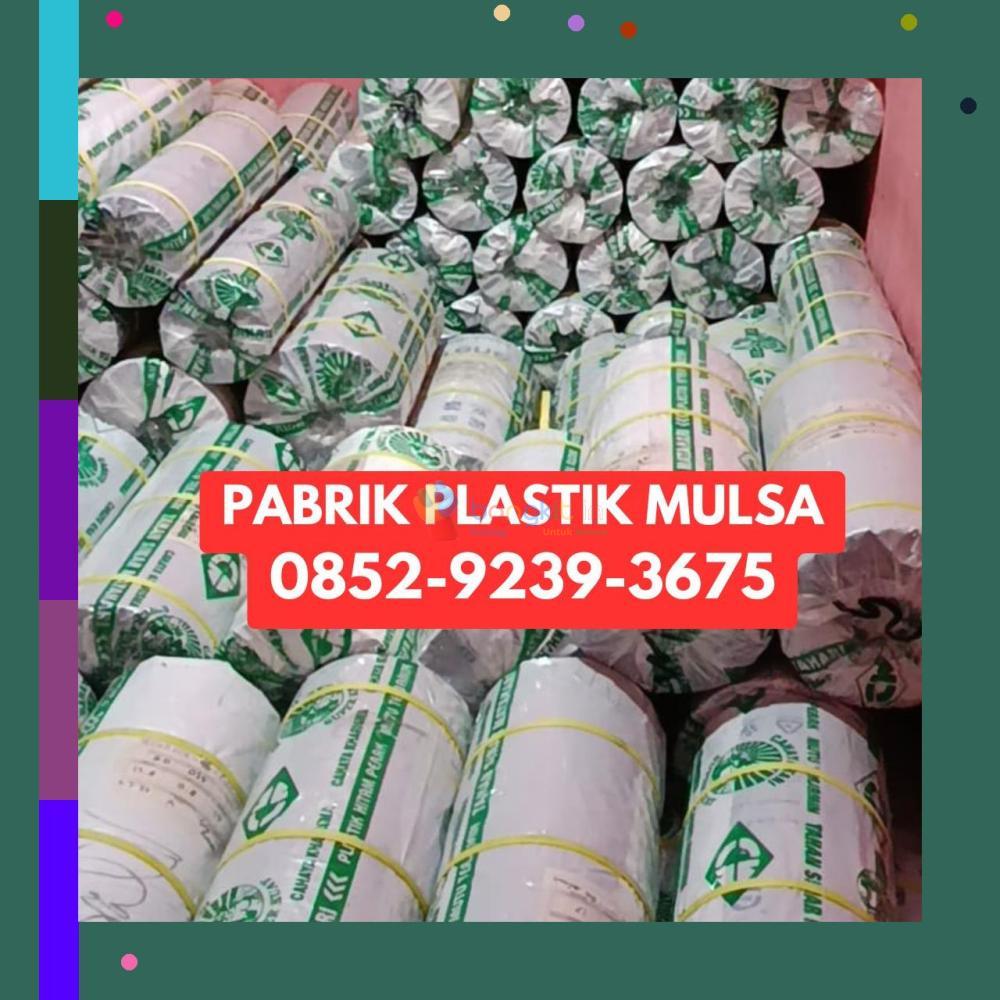 (EKSKLUSIF) 0852-9239-3675 Pabrik Plastik Mulsa Sanggau