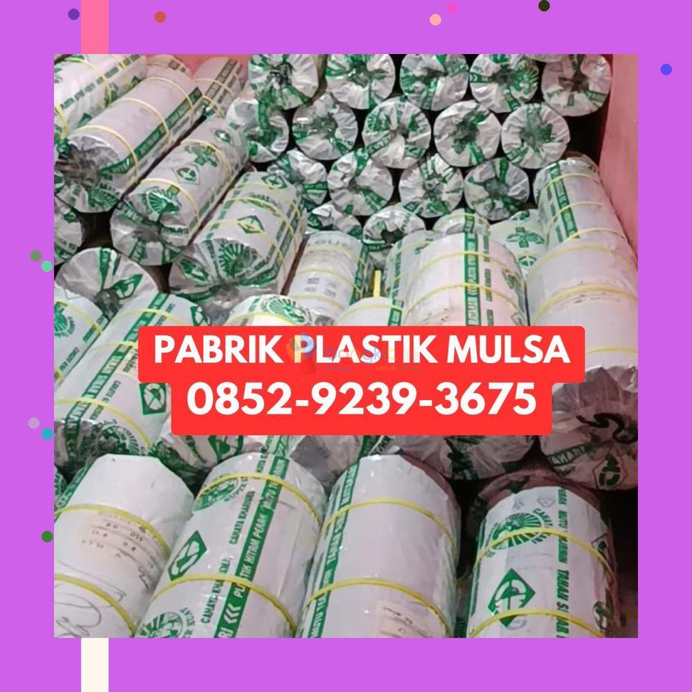 (BERKUALITAS) 0852-9239-3675 Pabrik Plastik Mulsa Sekadau